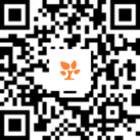 66b07c878f833